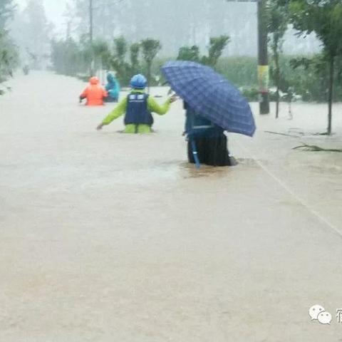 【合肥今日气温】2025年8月10日合肥气温是多少