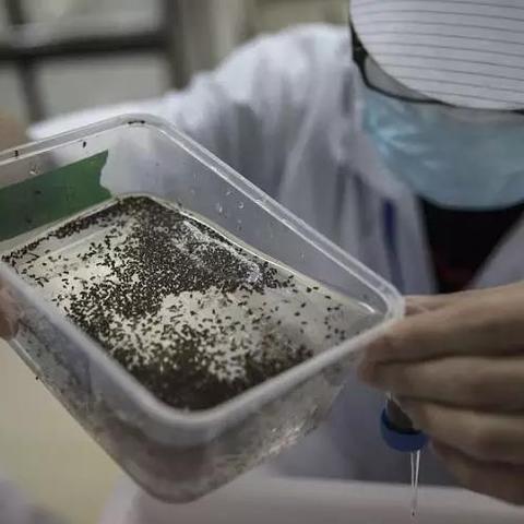 武汉不孕专家优先黄埔的长尾关键词有什么