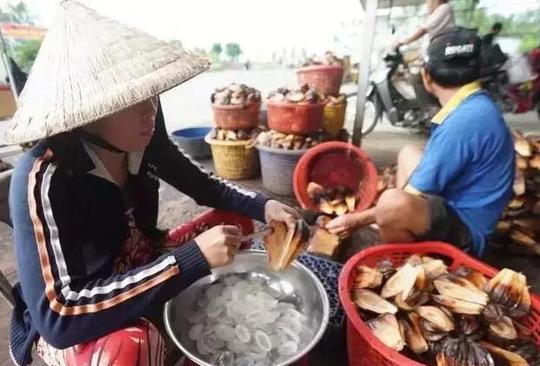 “水椰子”在国外一个卖低价，在中国被吃到“濒危”你怎么看