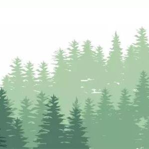 西安河湖四乱相关长尾关键词有哪些