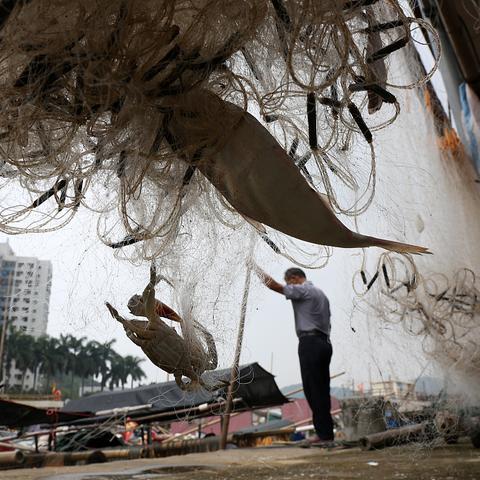 虎门新湾小学资历怎样？