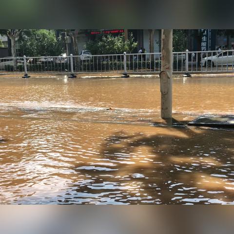 石家庄市平安公园在哪里