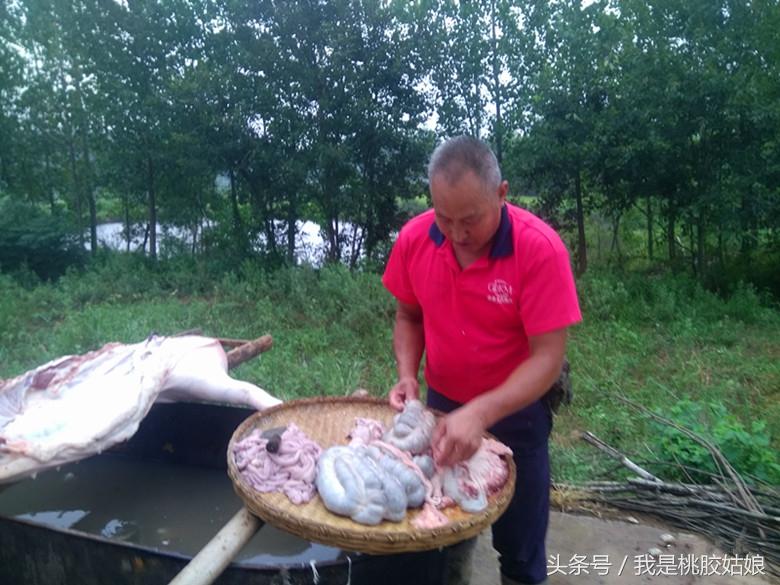 猪宝宝起名女孩姓杨,还是会娶相貌平凡勤劳的女人