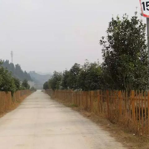 武汉市锦屏村是哪个区的