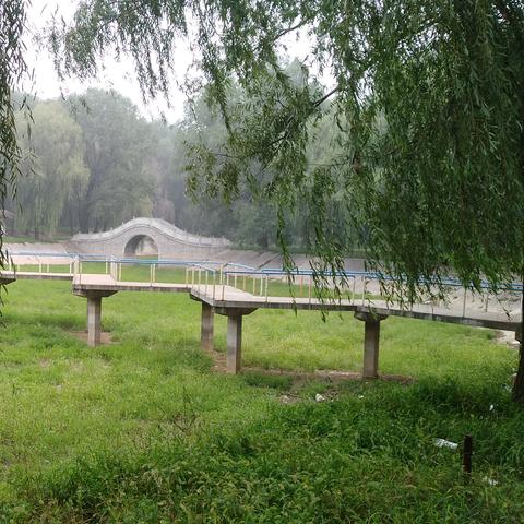 请问山东省聊城市范县与河南搭界吗？