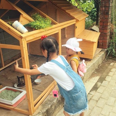 桂林市哪里卖猫好卖点的