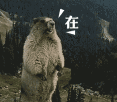 咆哮小老鼠啊出来呀表情包