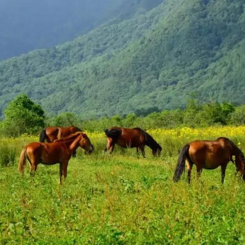 新疆冬季哪里气温最高的长尾关键词有哪些
