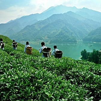 长沙市安化县邮政编码是什么？