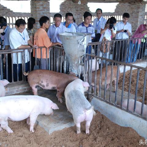 【戊二醛,戊二醛消毒液使用方法】