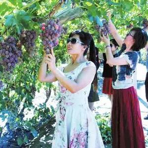 兰州市玻璃修复哪里好