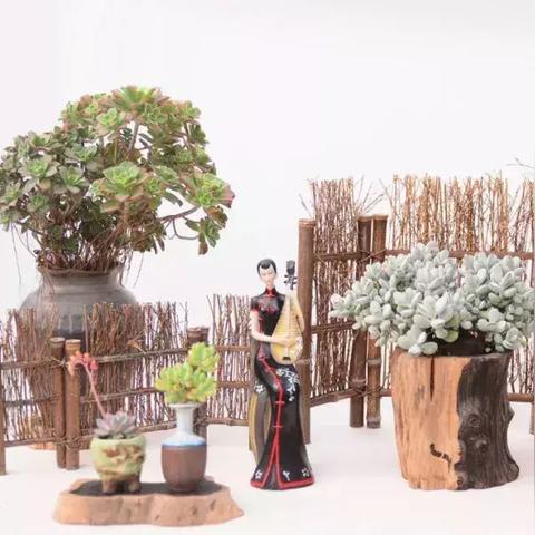 宁波市哪个花店最好看的