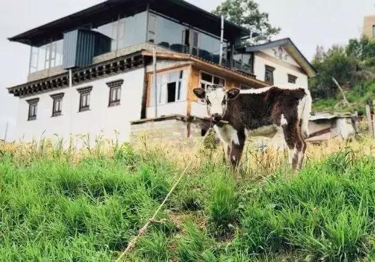 原神山顶岩碎片怎么拿到（有没有什么好玩的小程序）