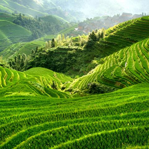 桂林旅游攻略景点大全相关长尾关键词有哪些