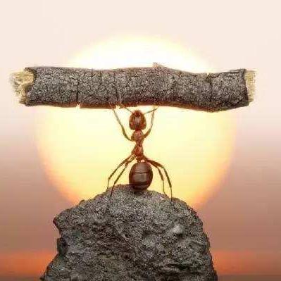 自己能学会seo吗