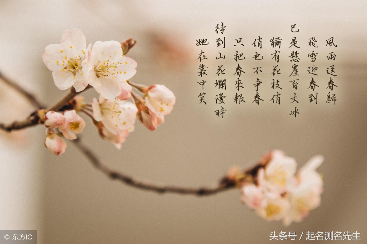 诗经宝宝起名,刘煜后面加个什么字名字好听