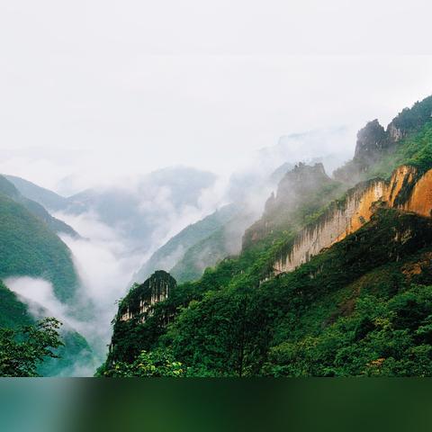武陵大裂谷和武陵森林公园的距离有多远？