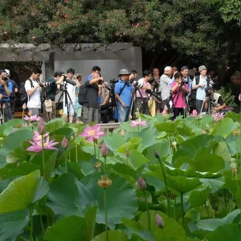 蔡甸区以前的名字叫什么地方？