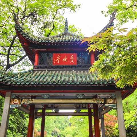 长沙爱的艺术相关长尾关键词有哪些