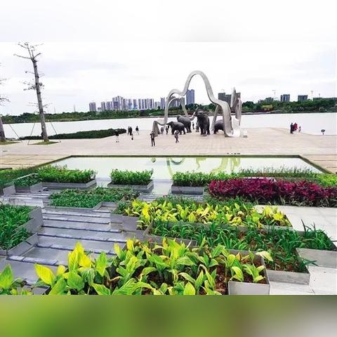 南宁园艺公司的相关长尾关键词有哪些