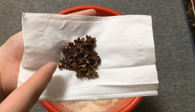 大米中的米虫是怎么来的