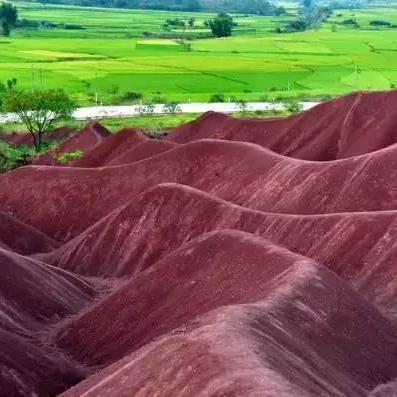 东莞市帮忙拍照的店有哪些