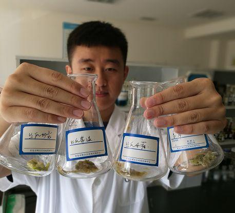 只要超过8小时就是隔夜饭