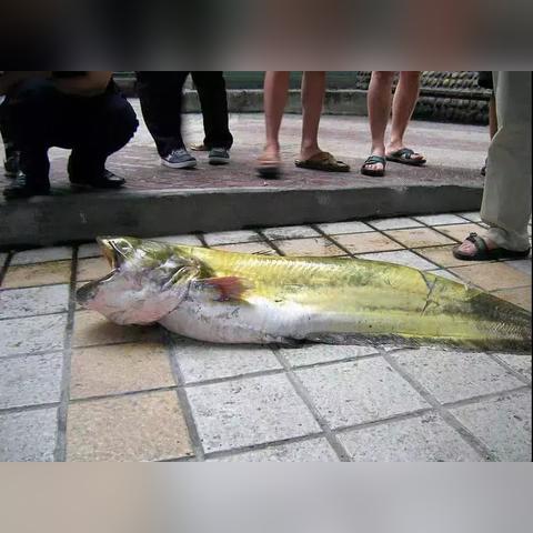 电影目击者的长尾关键词有什么