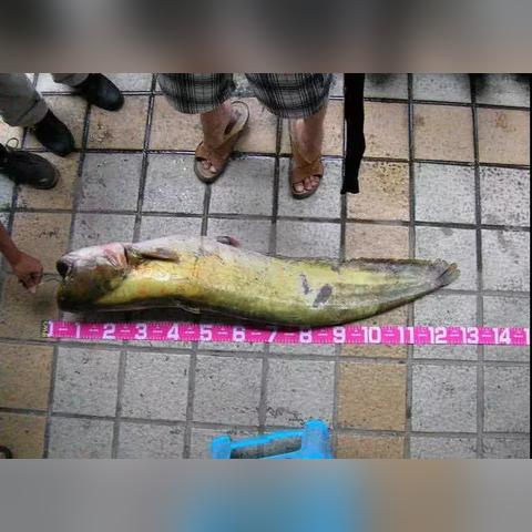 成都市地铁站附近的水库的长尾关键词有什么