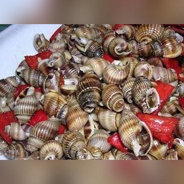 福建的海鲜疫情怎么样