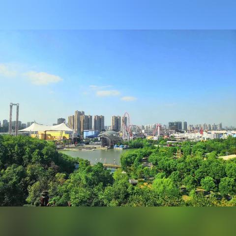 武汉市哪个花市场人最多