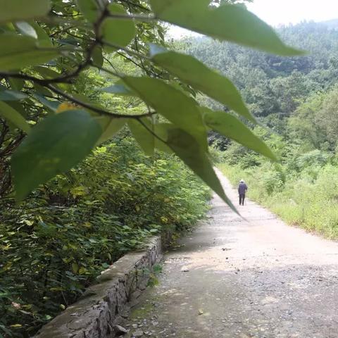 临沂市血液科在哪里