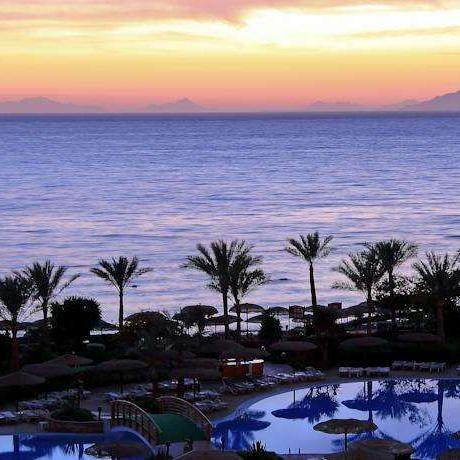 武汉卖骆驼肉的长尾关键词有什么