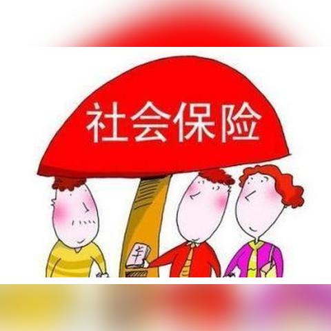 深圳市什么叫做五金一险