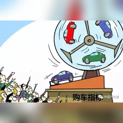 属猪人2025年全年运势?属猪的2025明年运势