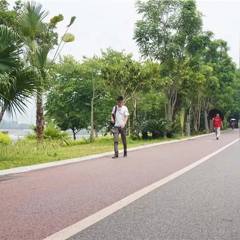 人民公园南宁雨天的相关长尾关键词有哪些