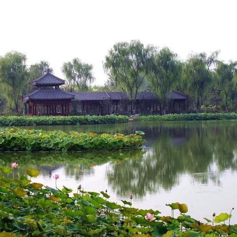 【天津水上公园在哪里】长尾关键词有什么