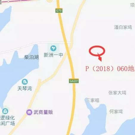 武汉市新洲区阳逻街高潮村,属于武昌吗？