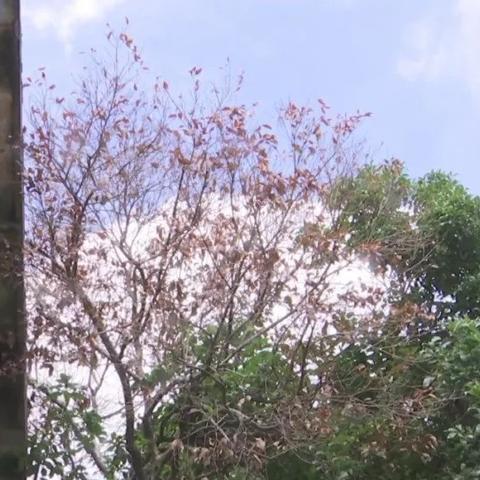 无锡市二医属于哪个社区