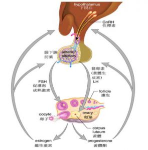 孕期这六项抽血检查非常重要