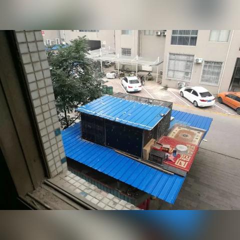 石家庄市哪里有卖母鸡的