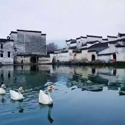 春漫居杭州的相关长尾关键词有哪些