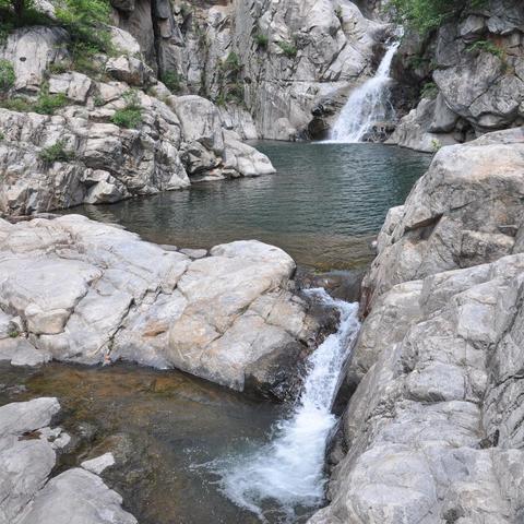 河南直销石斛怎么样的