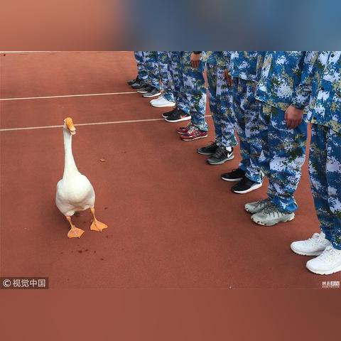 初中要军训吗江苏无锡市的长尾关键词有什么