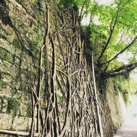 厦门柒号视觉婚纱的相关长尾关键词有哪些