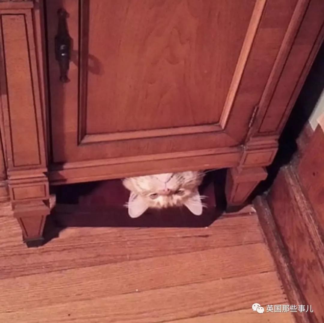 如何安全高效地购买INS、照片墙、‎Instagram、IG账号？掌握这些秘诀，避免掉进陷阱！