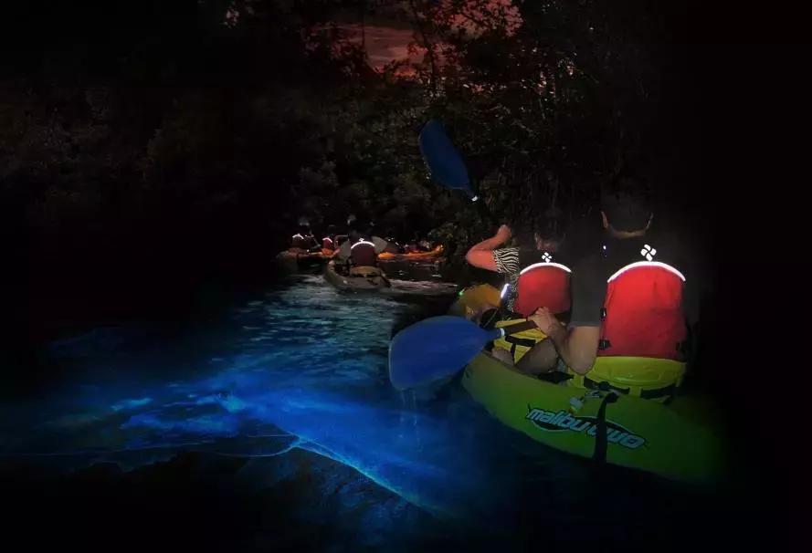  Discover the Best Kayaking Experiences in St. Pete, FL: A Guide to Kayaking St. Pete, FL