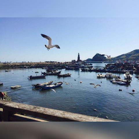 大连和天津哪个海洋好玩