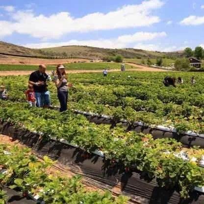 合肥生态果园酒店预订相关长尾关键词有哪些