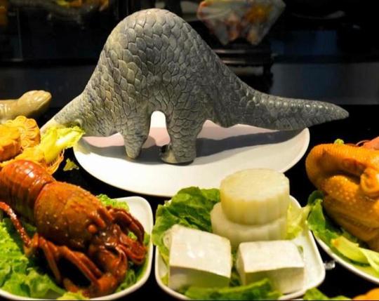 江苏一饭店将穿山甲做成“名菜”：专供高档客户食用